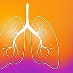 Human lungs Concept.