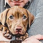 Man hugging a young, charming puppy. Close-up