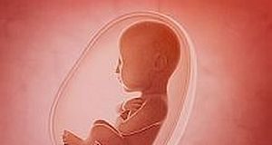 Antibiotic use with hormonal contraception linked to 7x higher risk of unwanted pregnancy