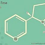 Infographic of the molecule of Nicotine