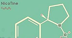 US national survey uncovers doctor misconceptions about nicotine risks