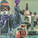 Detection of the pathogen coronavirus Coronaviridae infection in