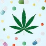 14-MB-Harm Reduction-24-09-2020-Medicinal-cannabis-marijuana-medical-iStock-946865344