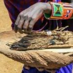 15-MB-Research Africa-24-09-2020-Africa-Traditional-Medicine-Muti-iStock-876442686