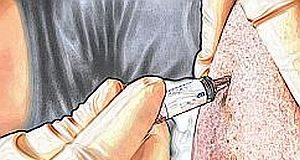 BCG vaccine protects elderly against respiratory infections