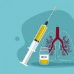 3-MB-Focus-24-09-2020-BCG-TB-Vaccine-iStock-1207349361