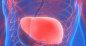 Post-menopausal women at higher risk of NAFLD — research review