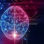 3d rendering of human  brain on technology background