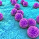 8-MB-Editors Picks-24-09-2020-1-Staphylococcus aureus-iStock-627038500