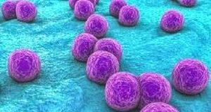 New CDC guidelines for S aureus prevention and control in NICUs