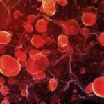 9-MB-Talking Points-01-10-2020-Blood-Red blood cells-iStock-1005715630