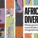 2-MB-Focus-05-11-2020-Nature-African Diversity edition cover