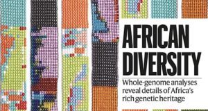 Landmark study of African genomes details human migration and health