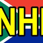 south african flag