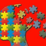 Puzzle head