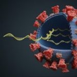 Virus with RNA molecule inside. Viral genetics concept. 3D rendered illustration.