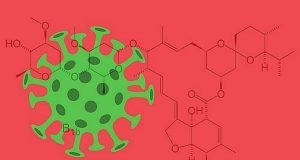 Fact File: Making sense of the Ivermectin controversy