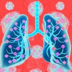 Healthy human lungs on abstract color background. 3d illustration