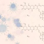 2-MB-Focus-11-03-2021-1-Ivermectin-Wiki Commons-By F Vasconcellos-Coronavirus-Covid-iStock-1213990382 copy