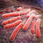 8-MB-Research Africa-18-03-2021-Tuberculosis-Mycobacterium-bacterial-TB-iStock-483787910