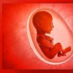 1-MB-Focus-08-04-2021-1-Foetus-Baby-womb-iStock-692684784