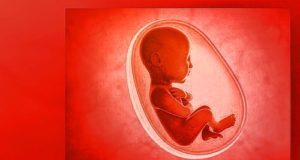 'Insensitive and disrespectful' to treat dead foetus as 'medical waste'