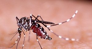 Malaria vaccine trial demonstrates high-level efficacy