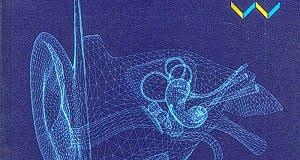 Bringing an African perspective to audiology