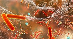 East African medical graduates ‘lack antibiotics knowledge’ — Research report