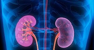 ‘Potential new standard’ in high-risk kidney cancer — KEYNOTE-564 trial