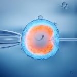 8-MB-Medical Practice-03-06-2021-Conception-In vitro fertilisation-IVF-iStock