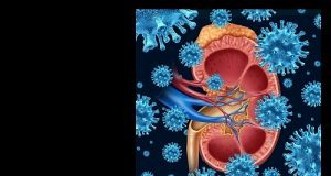 Acute COVID: 35% higher risk of substantial decline in kidney function