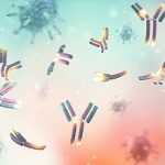 6-MB-Editors Picks-02-09-2021-Coronavirus-Monoclonal antibody-Covid-White blood cell-iStock-1302640919