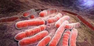 Groundbreaking UCT study upends theory on how TB is spread