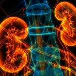 12-MB-Research Africa-21-10-2021-Kidneys-Nephrology-iStock-1207706204