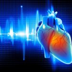 2-MB-Focus-11-11-2021-Cardiovascular disease-iStock-495663426