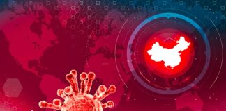 ‘Strong evidence’ of COVID-19’s origin in Wuhan live-animal market