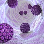 5-MB-Editors Picks-11-11-2021-HPV-Virus-Human papillomavirus-iStock-1351804434