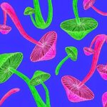 6-MB-Editors Picks-18-22-2021-1-Psilocybin-Magic-Mushrooms-Psychaedelic-iStock-1307421041