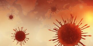 State of play with Omicron – The discovery, the spread, the politics, and the science