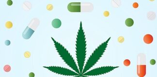 Dosing, administering medical cannabis for chronic pain – Recommendations