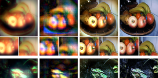 Salt grain-sized camera overcomes previous limitations to endoscopy