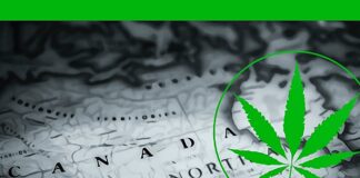 Canada’s legalisation of cannabis is a success story, despite a shaky first act