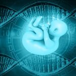 2-MB-Focus-10-02-2022-Pre-natal-DNA-Testing-Baby-Womb-iStock-1308796851