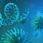 2-MB-Focus-17-02-2022-Coronavirus-Covid-RNA-Virus-Genetics-Mutation-iStock-1277970485