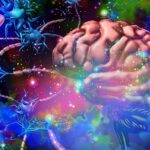 2-MB-Focus-Nervous system-Neurology-Autoimmune-Disease-iStock-1313323534