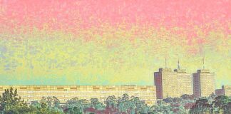 Charlotte Maxeke debacle places ‘enormous load’ on Helen Joseph Hospital