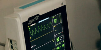 Lab study raises intriguing questions about the ‘irreversibility of death’