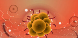 Monkeypox possibly linked to decrease in smallpox vaccine – global experts