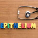 Harm Reduction 2